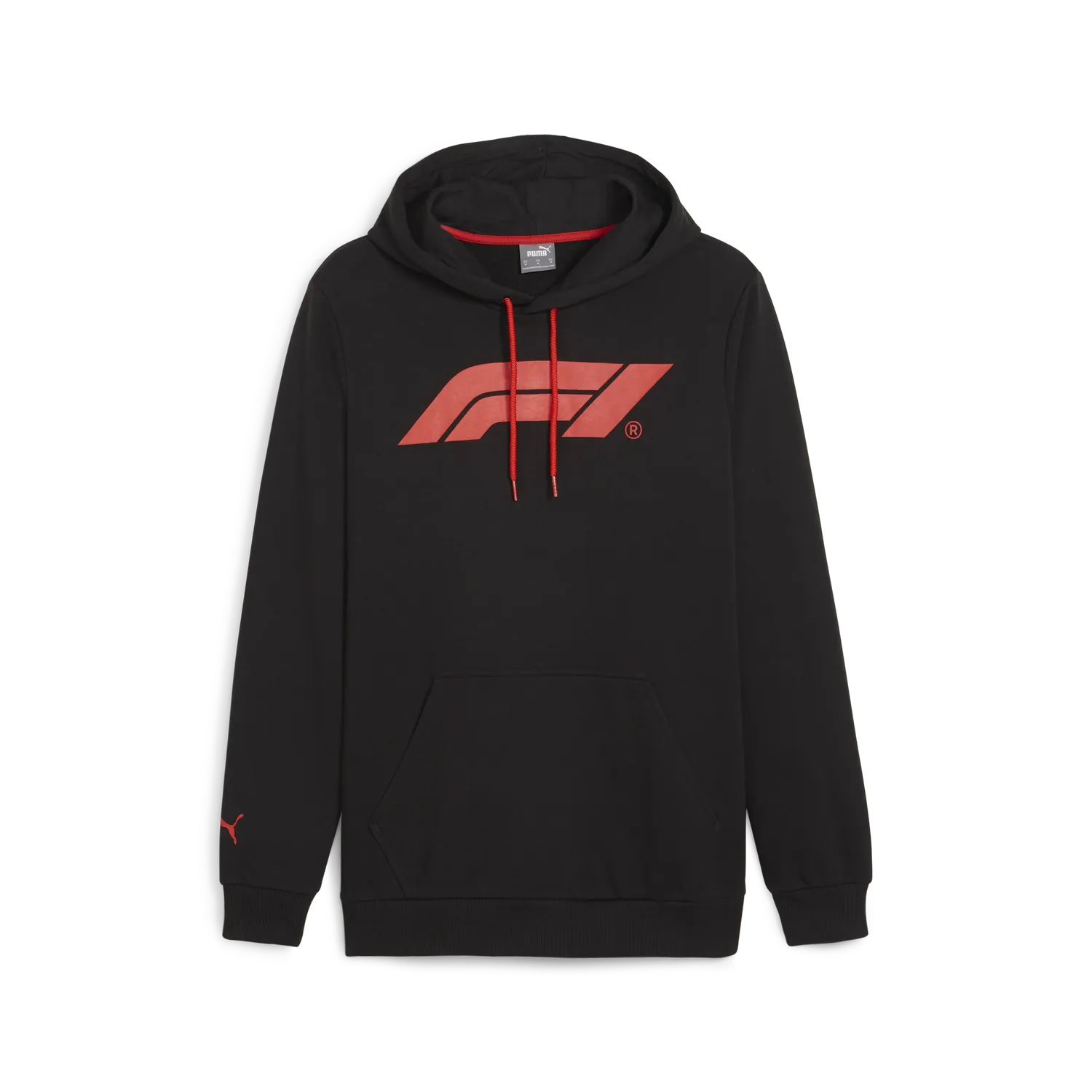 F1 ESS Logo Hoodie š„