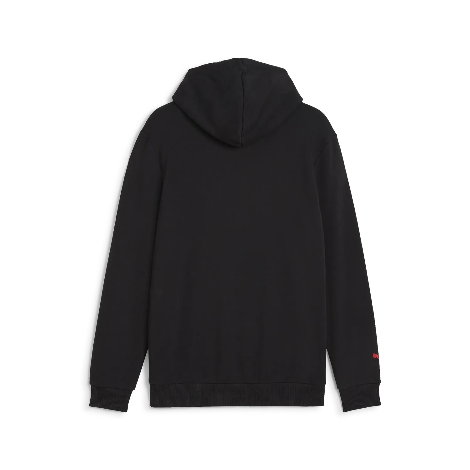 F1 ESS Logo Hoodie š„
