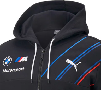 Sudadera del equipo Puma BMW, antracita, 2022