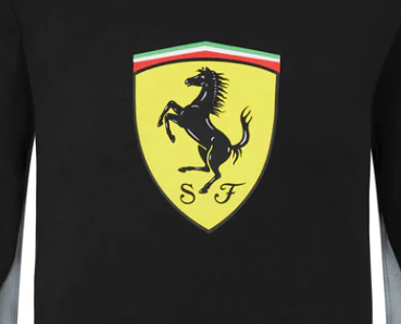 Sudadera infantil Ferrari con escudo, color negro, 2021