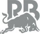 Racing Bulls RB F1