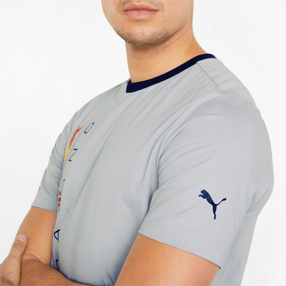 Red Bull T-shirt, Grey, 2022