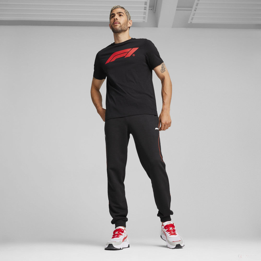 Formula 1 t-shirt, Puma, Essential Logo, black - FansBRANDS®