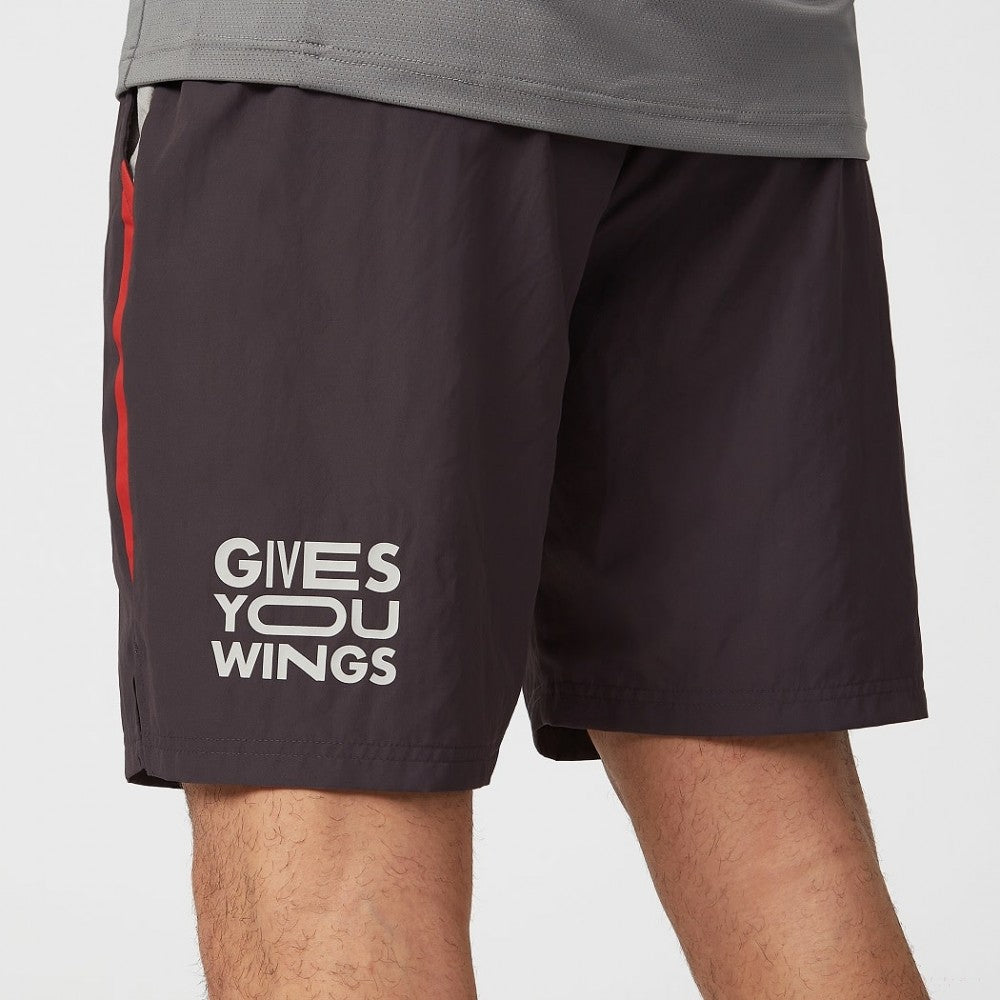Red Bull Shorts, Fanwear Tech, Grey, 2022