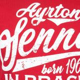 Ayrton Senna T-shirt, Vintage, Red, 2018
