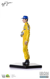 Ayrton Senna Accessories, Yellow, 2020