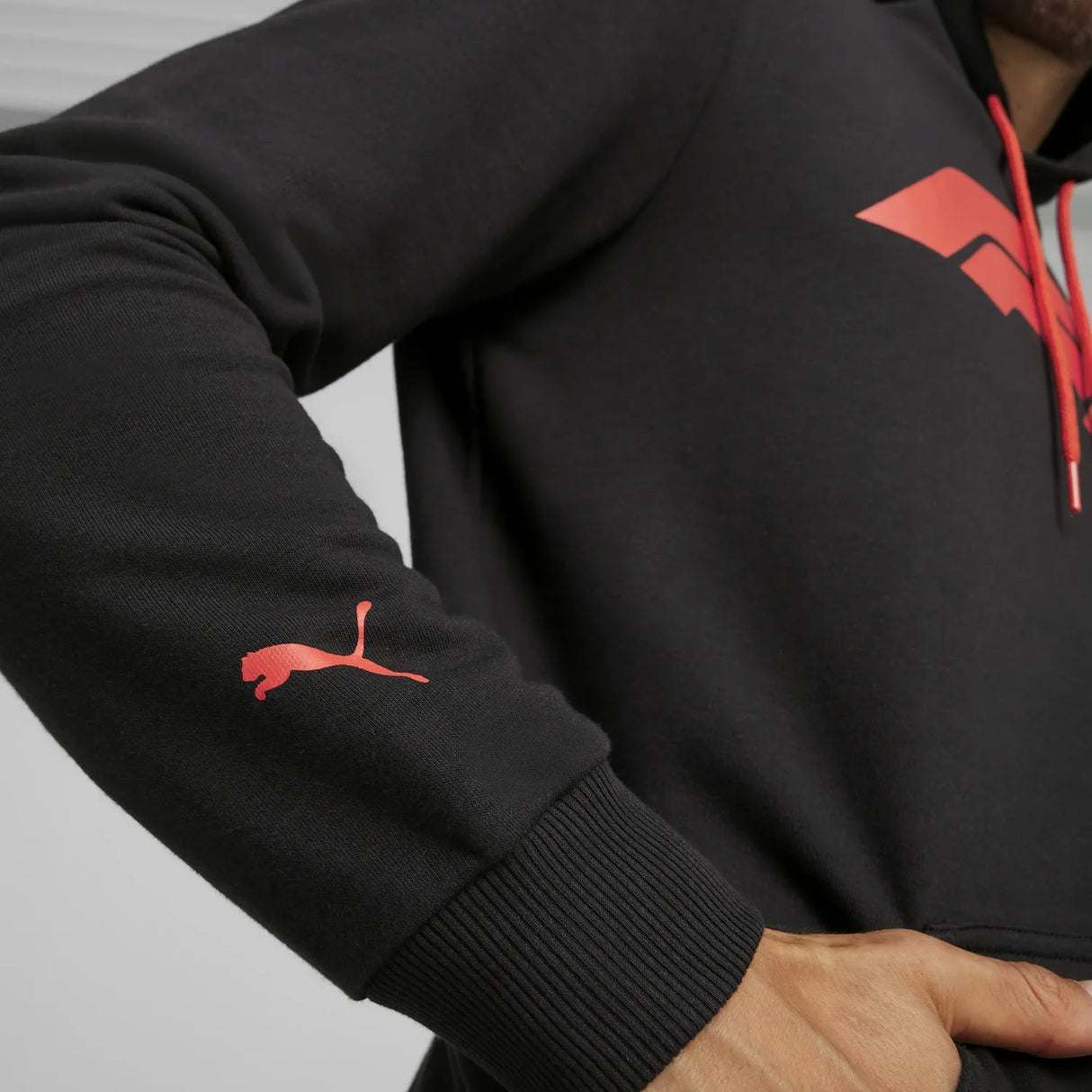 F1 ESS Logo Hoodie 🔥