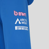 Alpine hoodie, team, blue