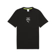 Aston Martin t-shirt, Essential, regular, black