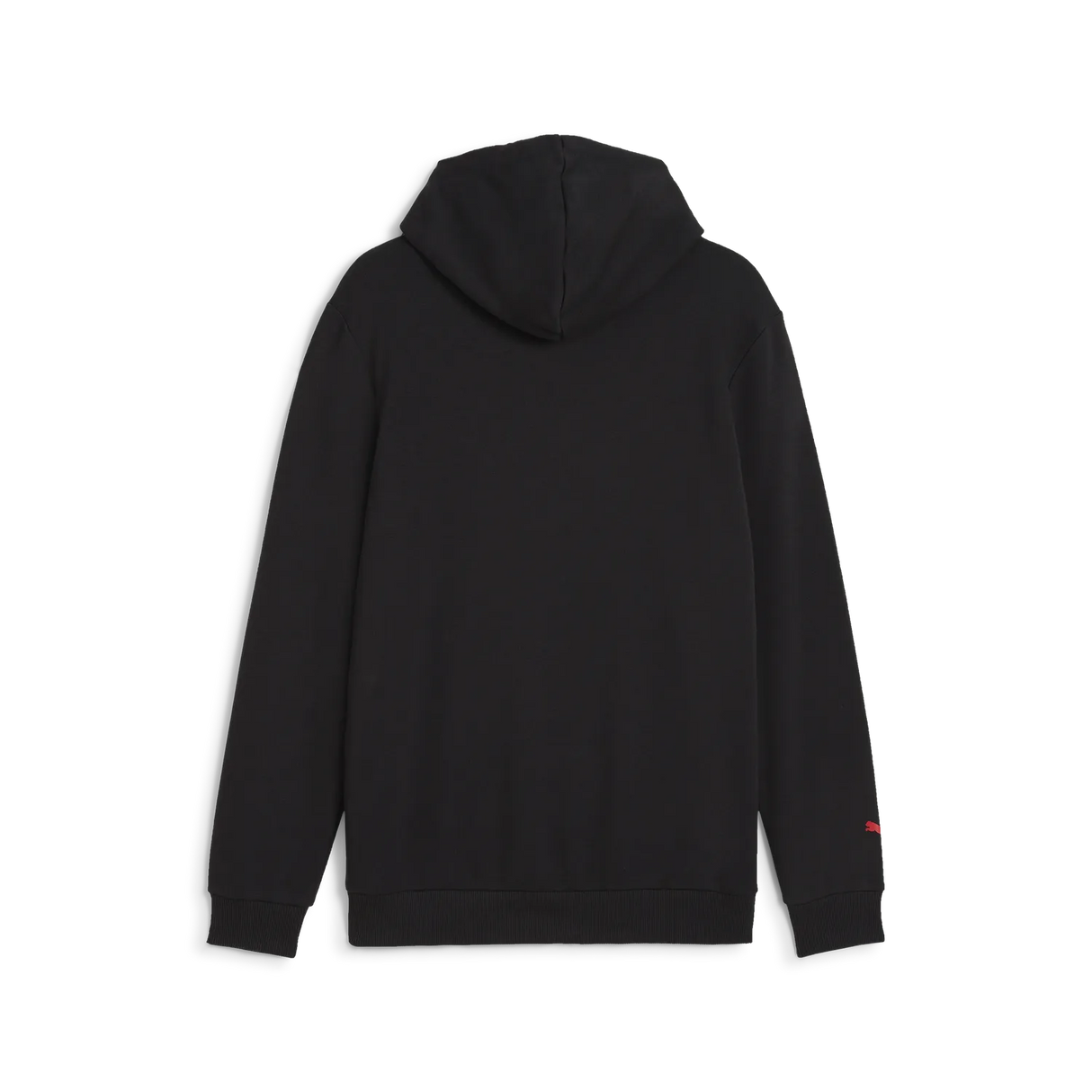 F1 ESS Logo Hoodie 🔥