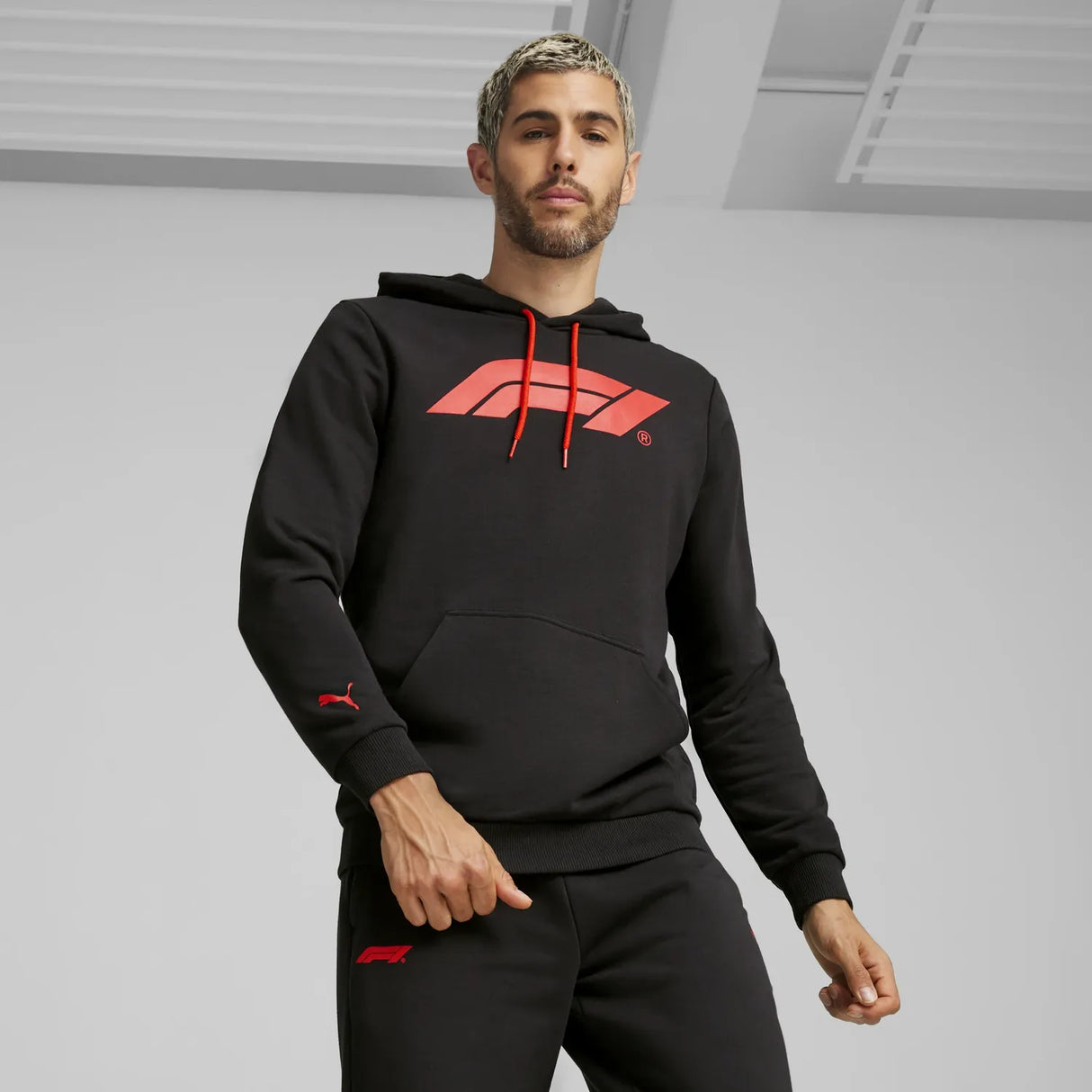 F1 ESS Logo Hoodie 🔥